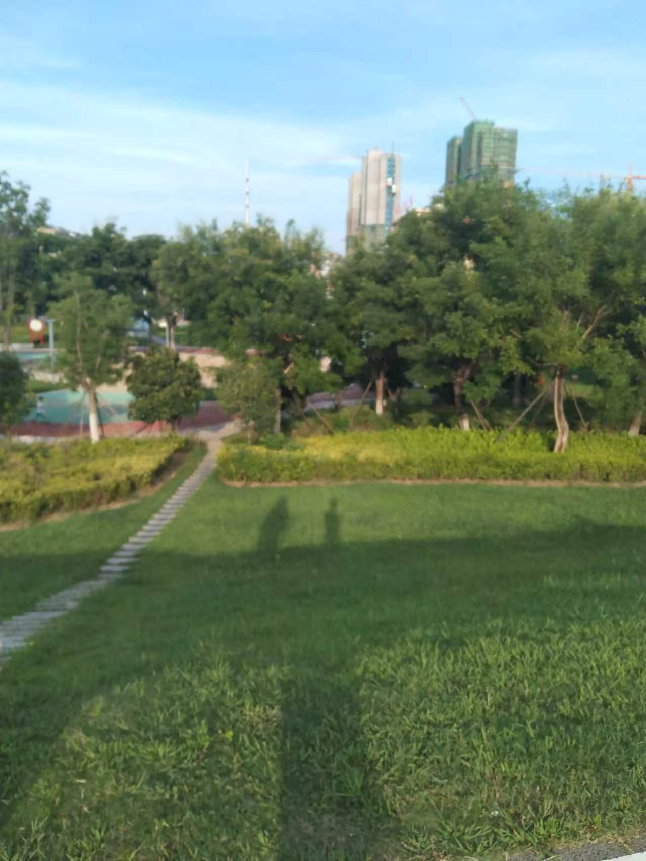 Park lawn with a stepping-stone path, trees, and distant buildings under a blue sky.
