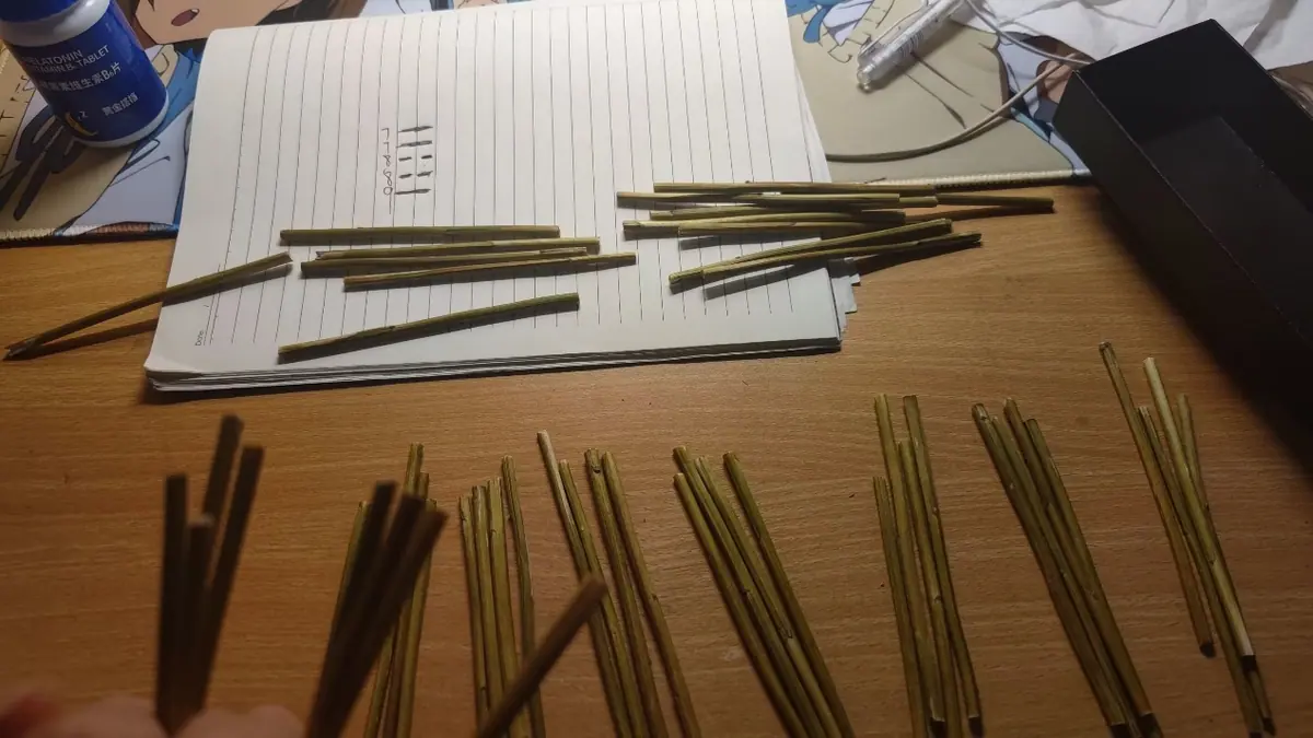 Rows of thin sticks laid out on a table for divination.