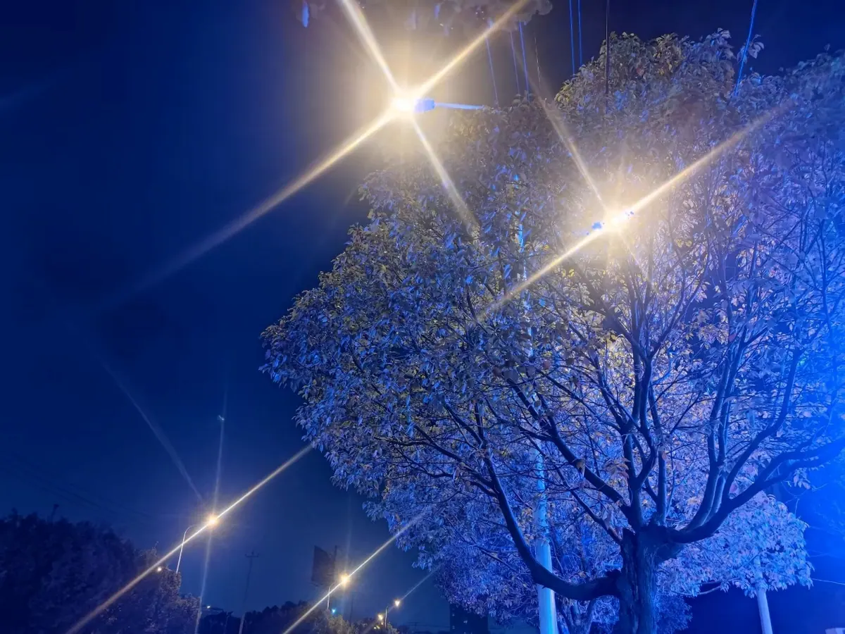 Bare tree branches lit by bright streetlights at night.